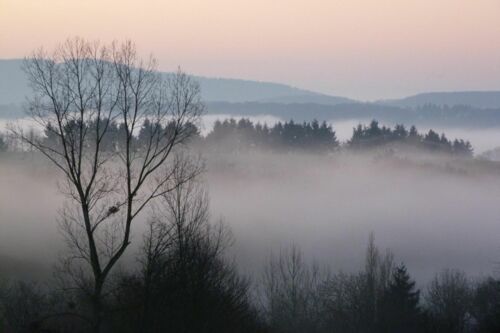 Nebel Kail P1120492.JPG