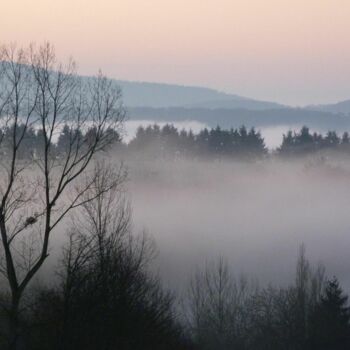 Nebel Kail P1120492.JPG