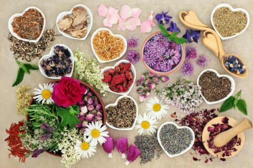 Ayur Herzen iStock-856181134.jpg